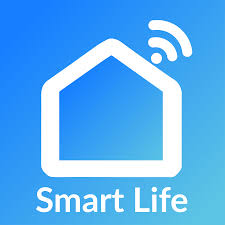 Smart Life cerradura inteligente Tuya compatible GoToCheck